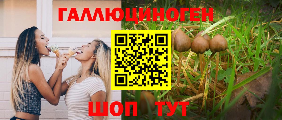 Галлюциногенные грибы GOLDEN TEACHER Донской
